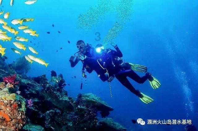 终结者2官方手游